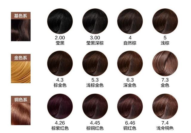 福建花卉产品畅销“一带一路”